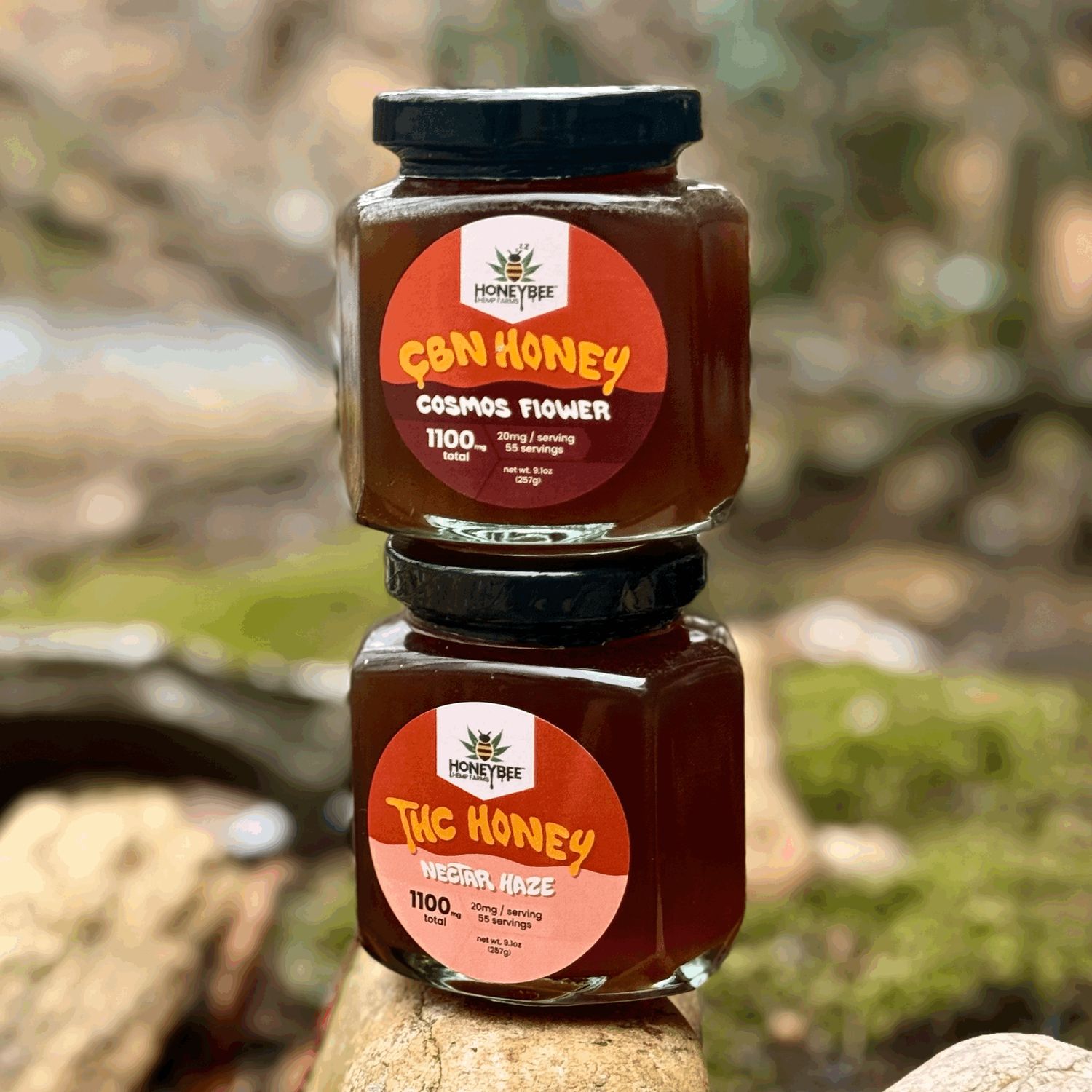 Honey Jar Bundle
