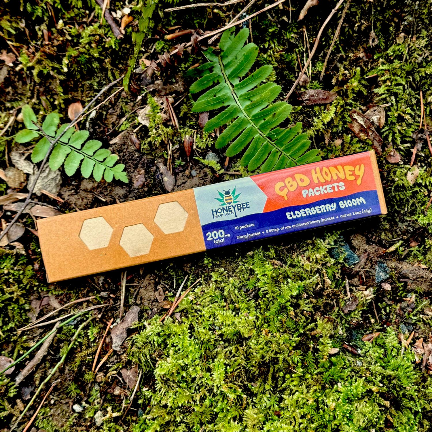 Elderberry Bloom CBD Honey Packets (10ct.)