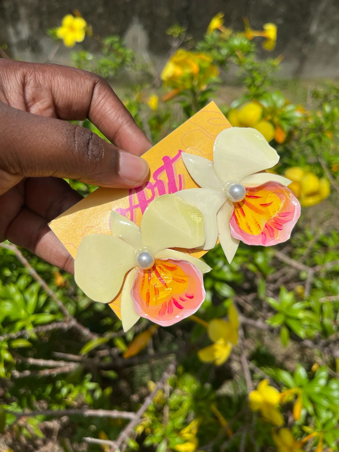 Yellow Cattleya Orchid
