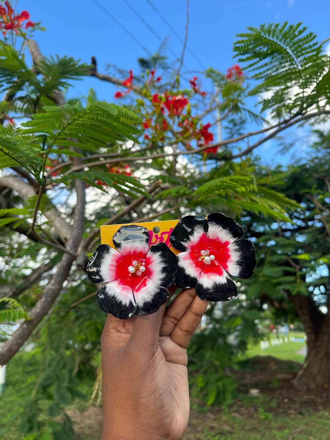 Calypso Blooms