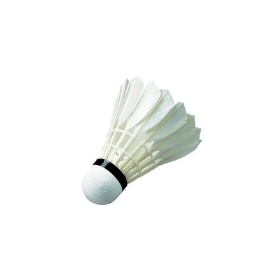 BADMINTON SHUTTLECOCK – WISH – TRAINING W11