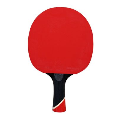 TABLE TENNIS BAT – SUMMIT – FORZA 6 STAR CARBON
