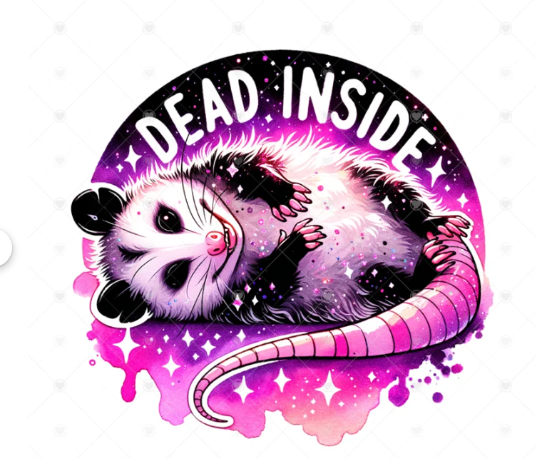 raccoons and possums (9 images)