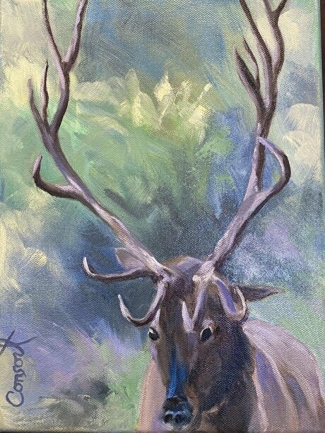 &quot;Goofy Elk!&quot; - Oil on Canvas