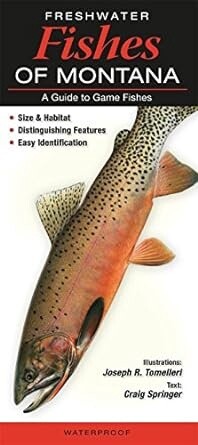 Waterproof Identification Guides Freshwater Fishes of Montana