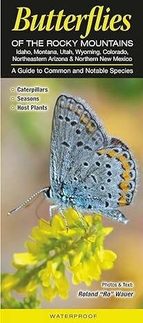 Waterproof Identification Guides Butterflies of the Rocky Mountains