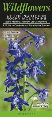 Waterproof Identification Guides Wildflowers of the Northern Rocky Mountains