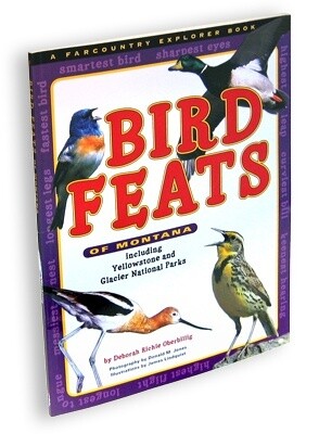Bird Feats of Montana
