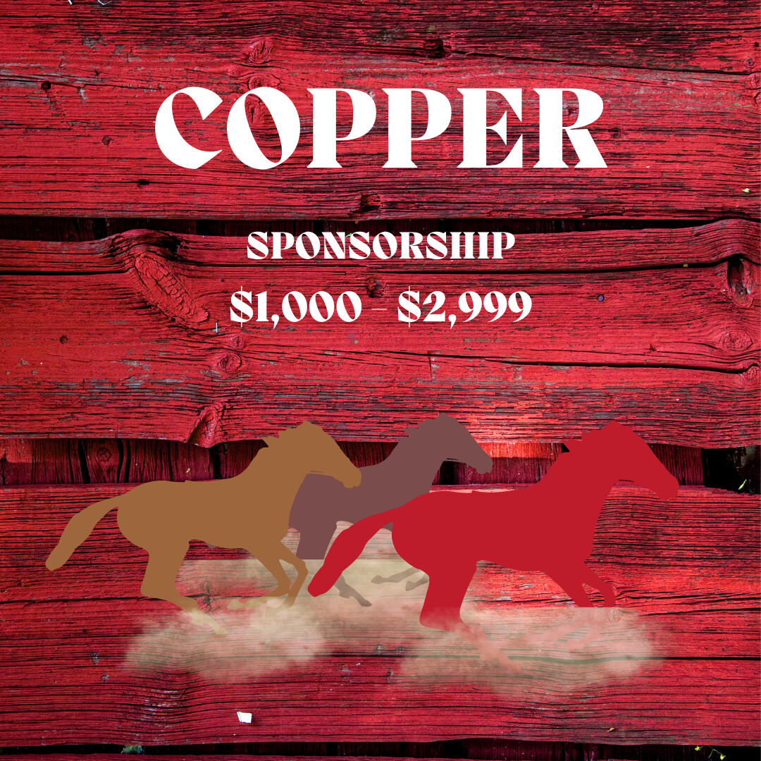Sponsorship Copper Level