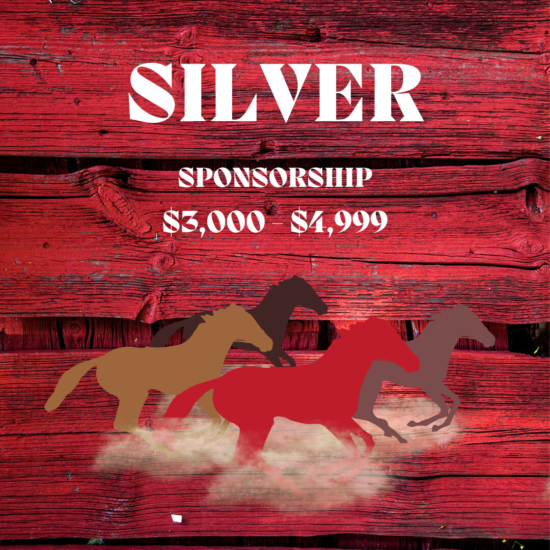 Sponsorship Silver Level