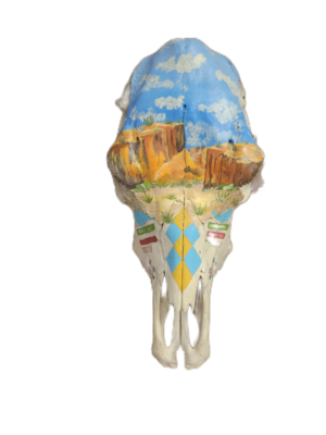 Skull with Desert