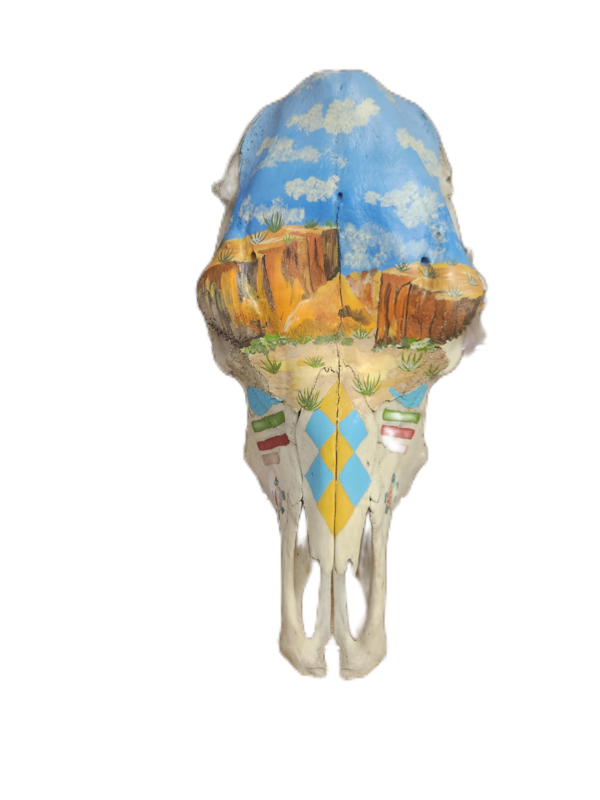 Skull with Desert