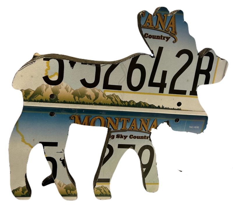 License Plate Moose