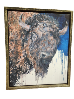 Buffalo Canvas Painting