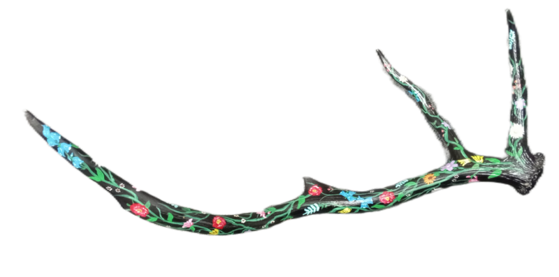 Floral Painted Antler