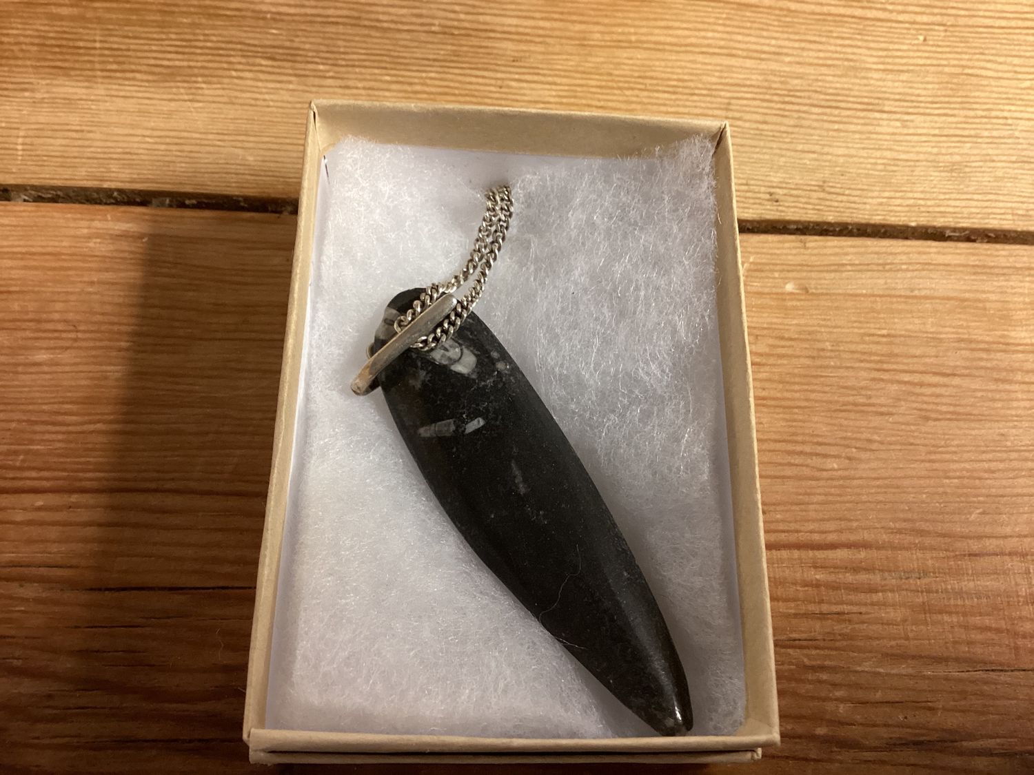 Orthoceras Fossil Sterling Silver Necklace Medium