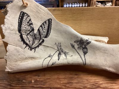 Butterfly Pollinating