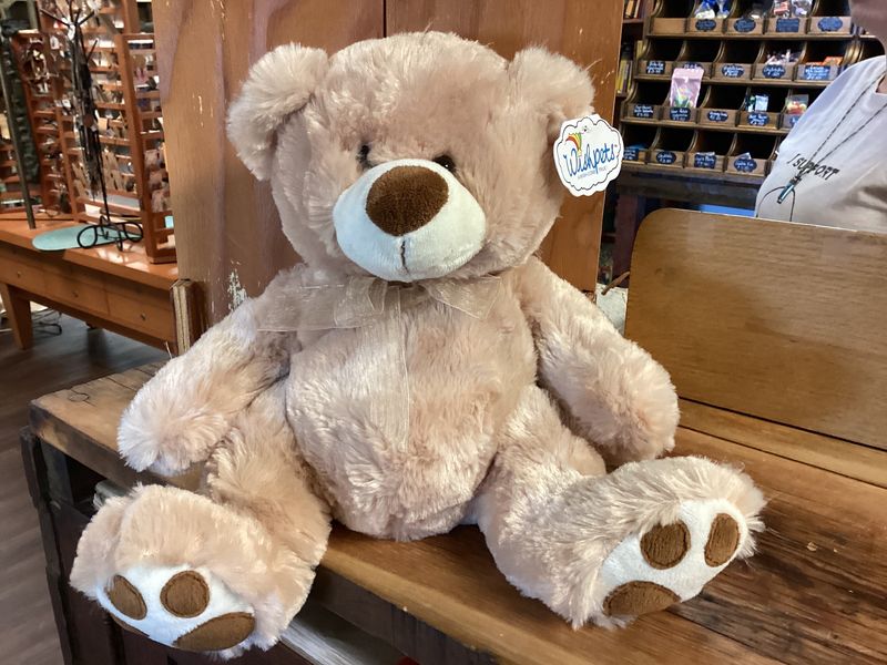 Stuffed Animal