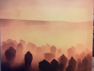 Montana Sunset photo on Canvas