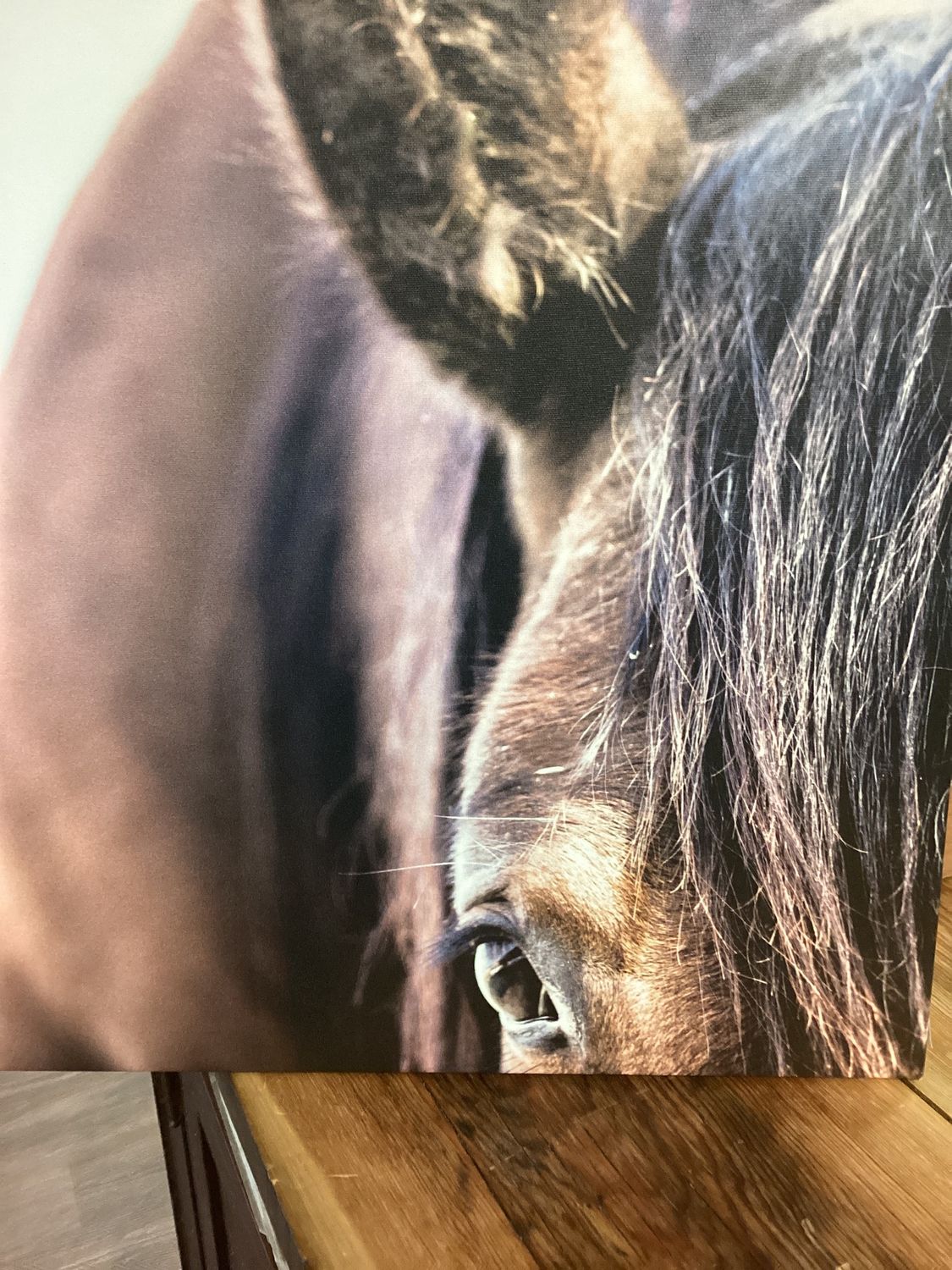 &quot;Amigo&quot; Print on Canvas