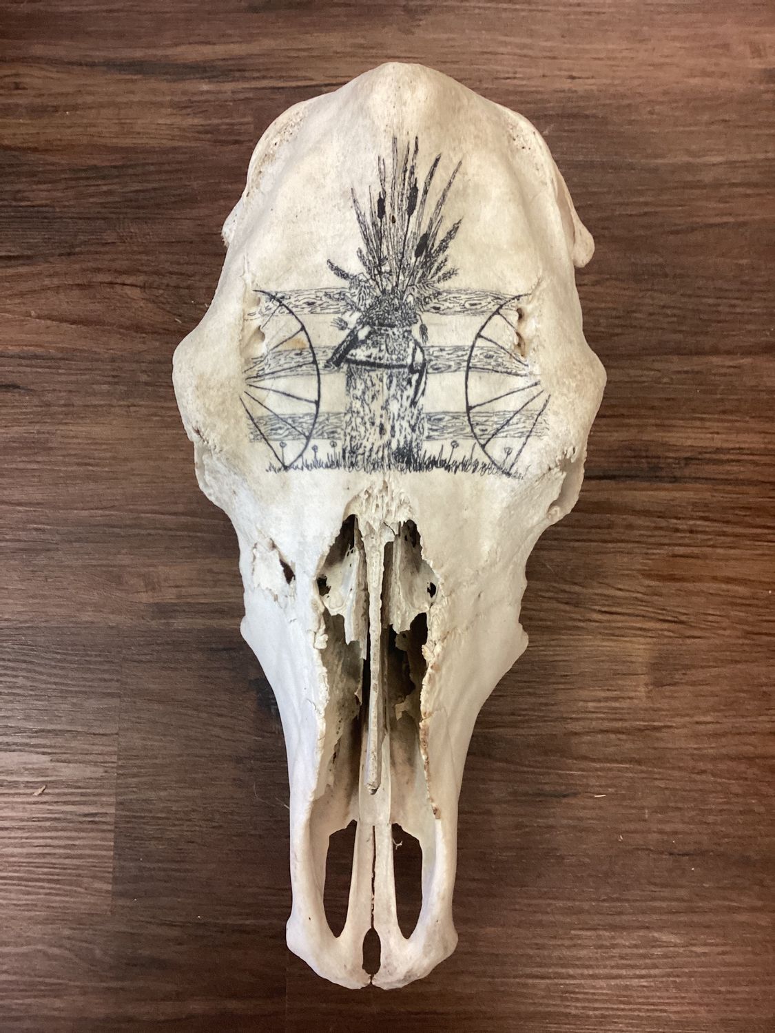 Skull with Milk Can with Cattails &amp; Wild Grasses