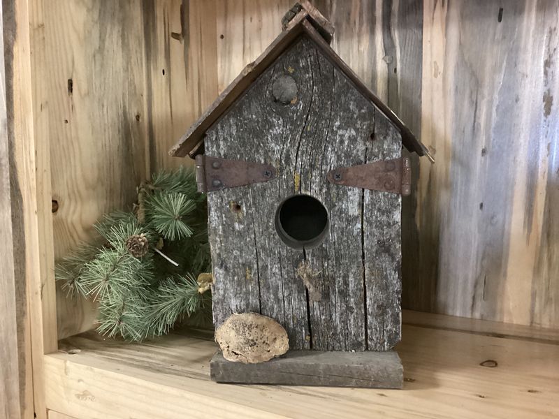 Yellow Moss, Hinges, Square Nails, and Conk Bird House