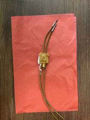 Bolo Tie&#39;s Turtle