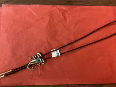 Bolo Tie&#39;s Scorpion