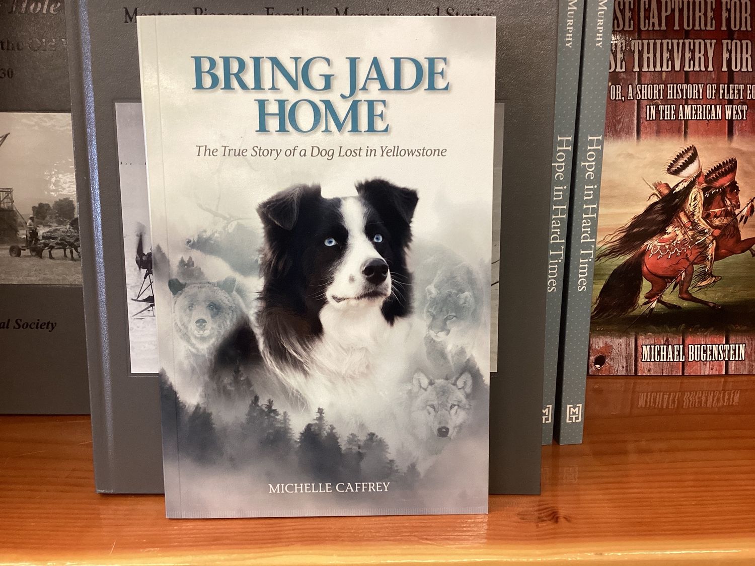 Bring Jade Home