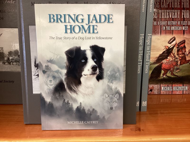 Bring Jade Home