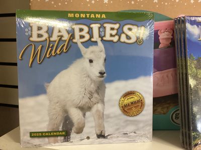 2025 Montana Wild Babies! Calendar
