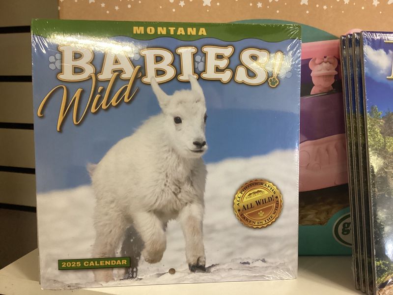 2025 Montana Wild Babies! Calendar
