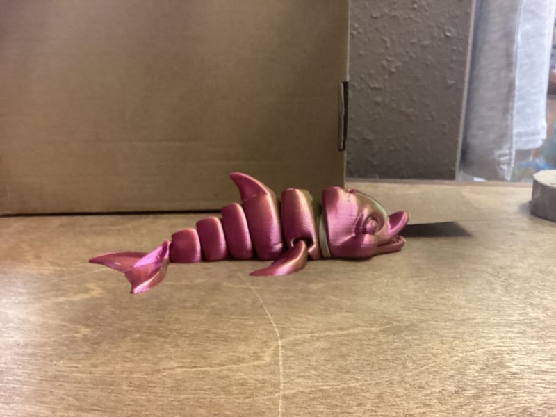 Dolphin 3D