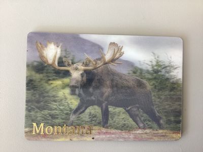 Montana 3D Magnet