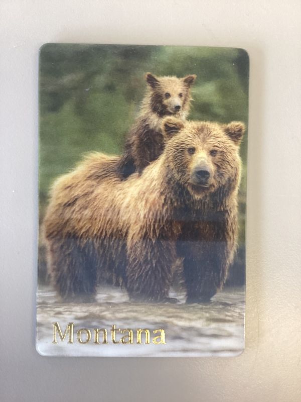 Montana 3D Magnet, Style: Grizz &amp; Cub