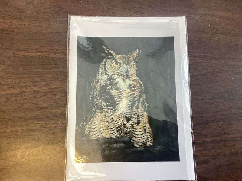 Survivor Owl Card