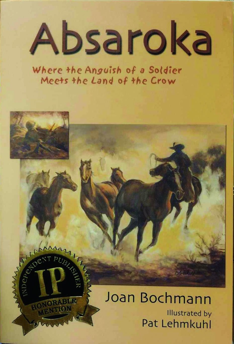 &quot;Absaroka: Where the Anguish of a Soldier Meets the Land of the Crow&quot; by Joan Bochman