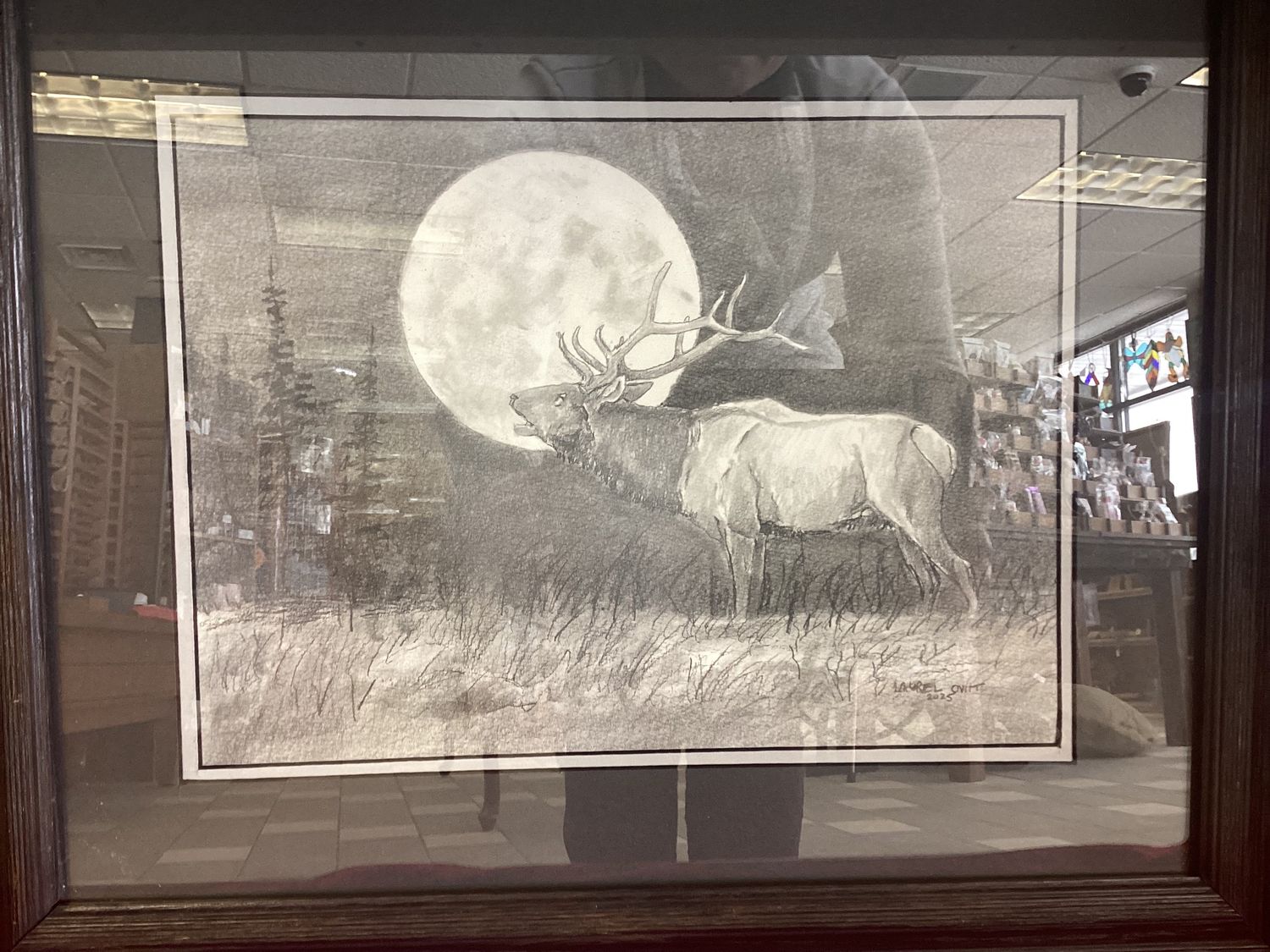 Elk Moon Original Pencil