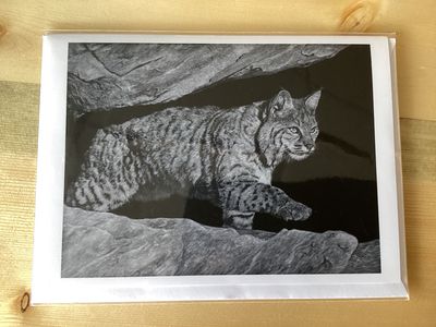 On The Move Card