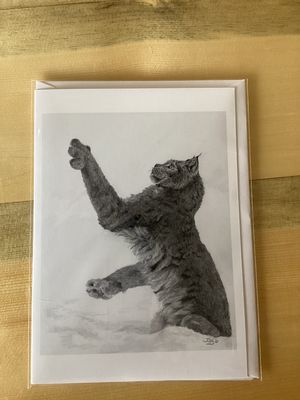 Missed Card