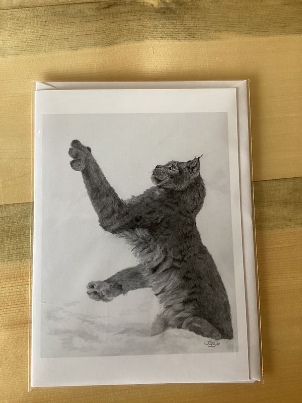 Missed Card
