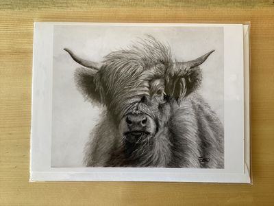 Windy Card