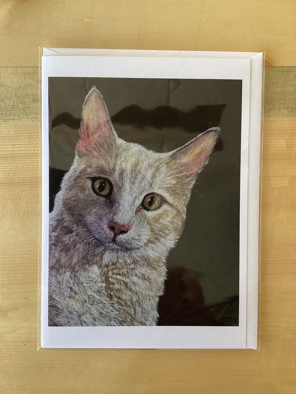Tommy Card