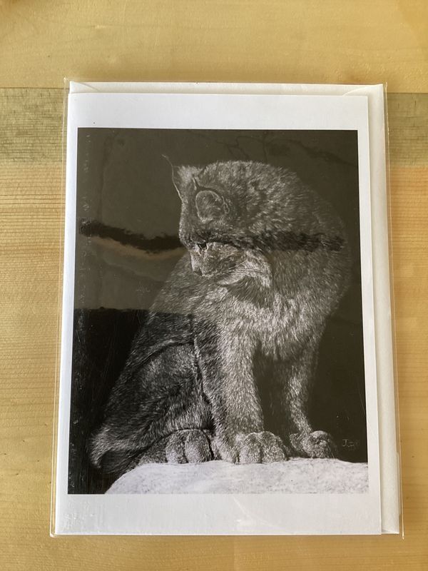 Contemplation Card