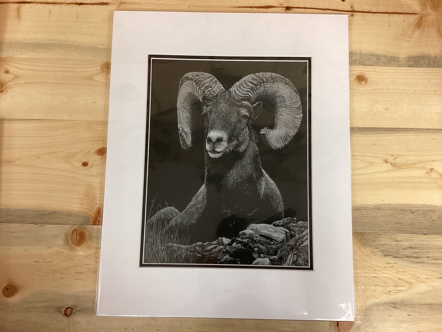 &quot;High Repose&quot; 16x20 Print By Janice Bogy