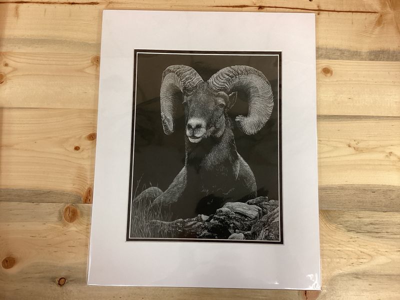 &quot;High Repose&quot; 16x20 Print By Janice Bogy