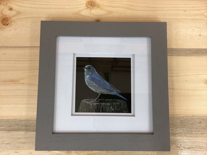 &quot;Bluebird Study IV&quot; Print