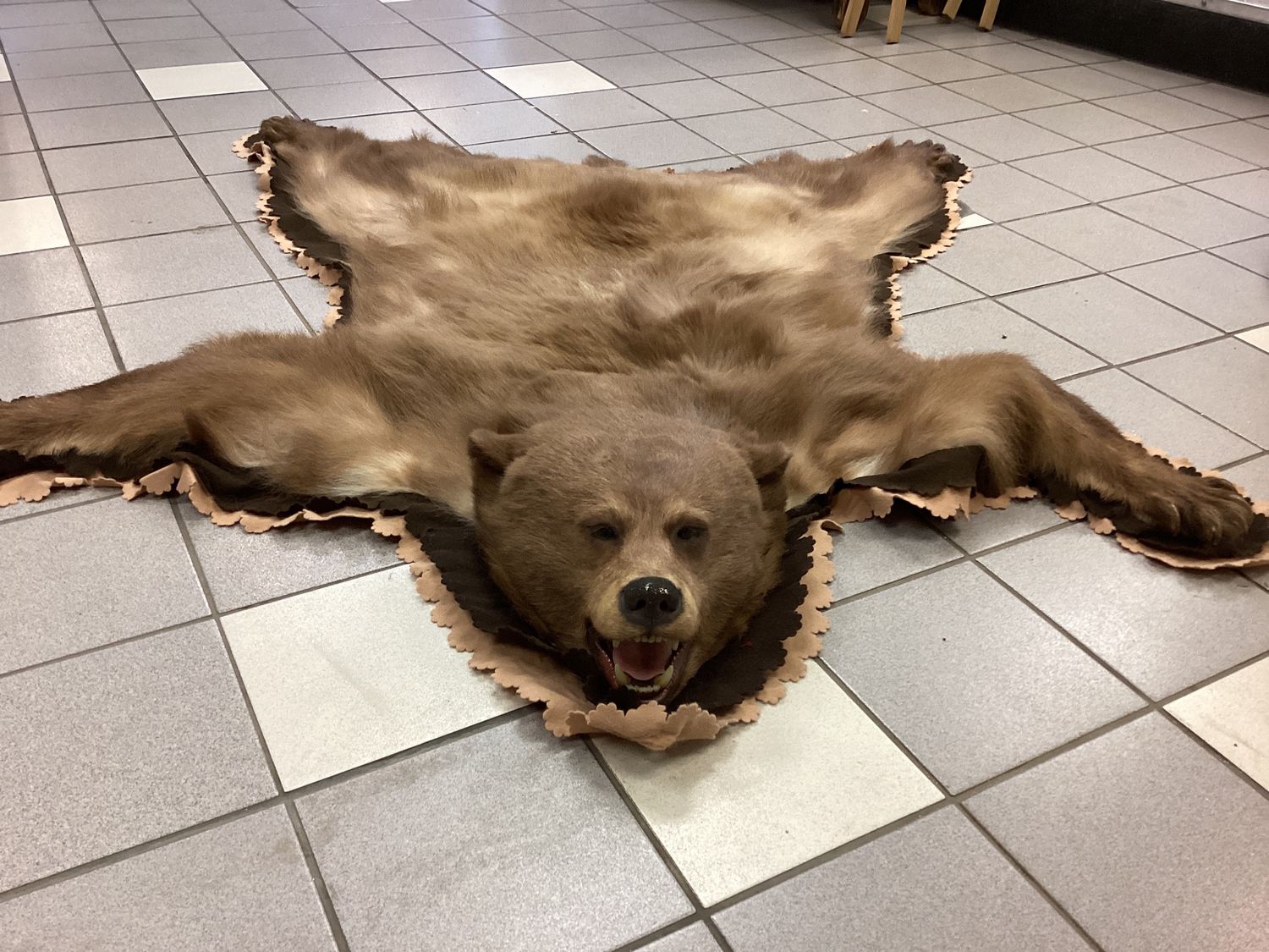 Bear Hide Rug