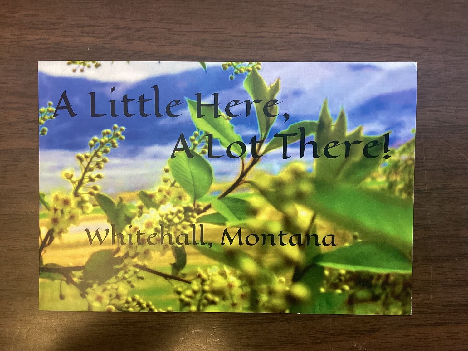 Whitehall Post Card, Style: A  Little Here A Lot There!