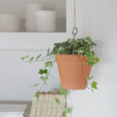 BOTANOPIA bolty stainless steel